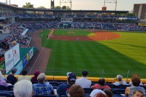 Yard Goats