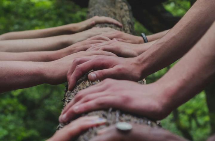 Hands resting on a log